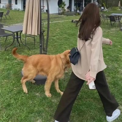 神的孩子奇遇记